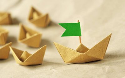 Erfolgreich führen ohne Weisungsbefugnis