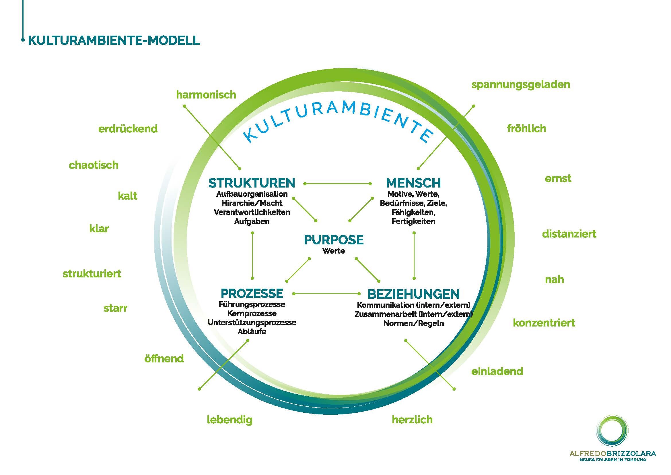 Systemische Organisationsberatung