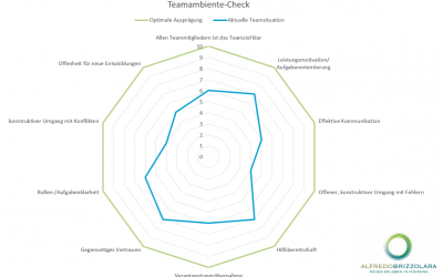 Teamkultur einschätzen: Der Teamambiente-Check